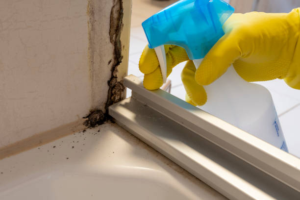 Best Mold Cleaning Services  in Crugers, NY