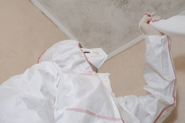 Best Mold Removal Specialists  in Crugers, NY