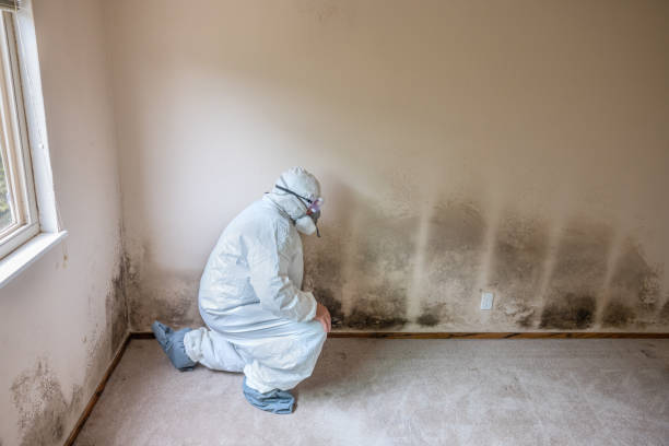 Best Office Mold Removal Services  in Crugers, NY